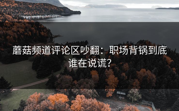 蘑菇频道评论区吵翻:职场背锅到底谁在说谎? 蘑菇频道评论区吵翻:职场背锅到底谁在说谎?